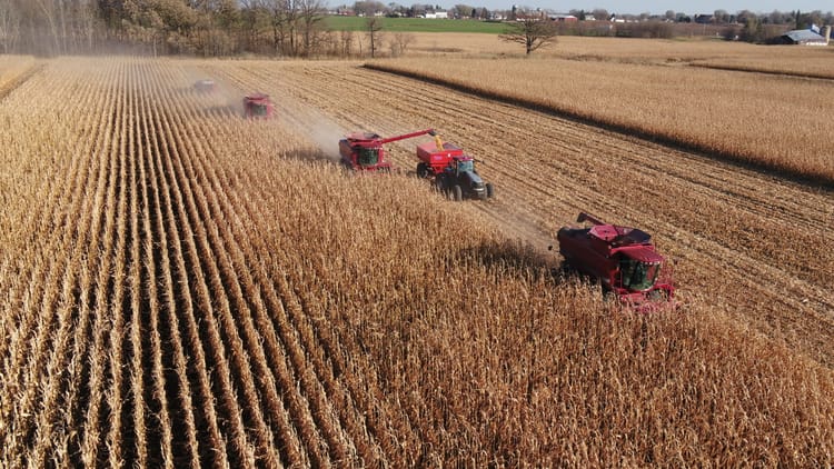 PRODUCT CONTROL & SEEDING